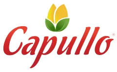 Logo Demo